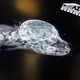 Imagen para el artículo titulado Este cachorro abandonado busca dueño. Se llama Narwhal y tiene una segunda cola en la frente